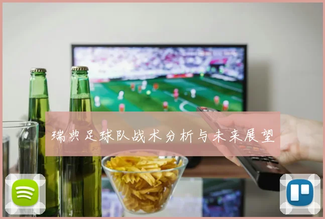 瑞典足球队战术分析与未来展望